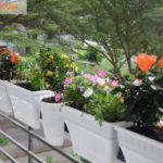 Kiểm tra hệ thống tưới tự động tại nhà