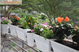 Kiểm tra hệ thống tưới tự động tại nhà