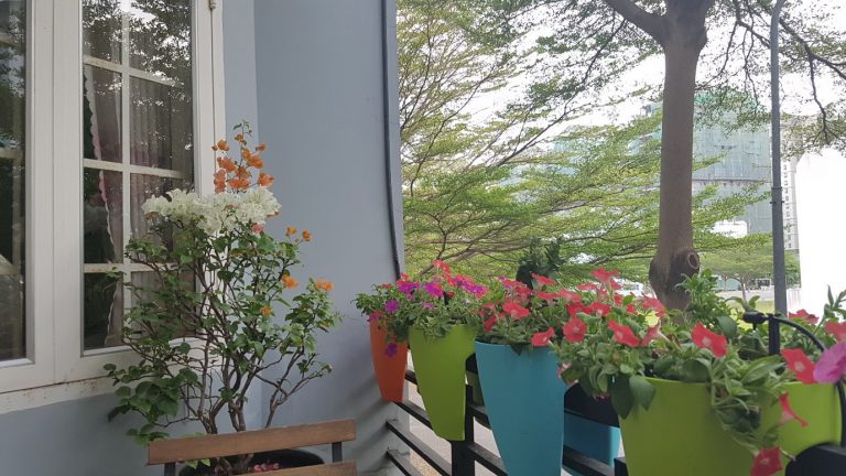 Thiết kế hệ thống tưới tự động cho ban công rực rỡ sắc hoa