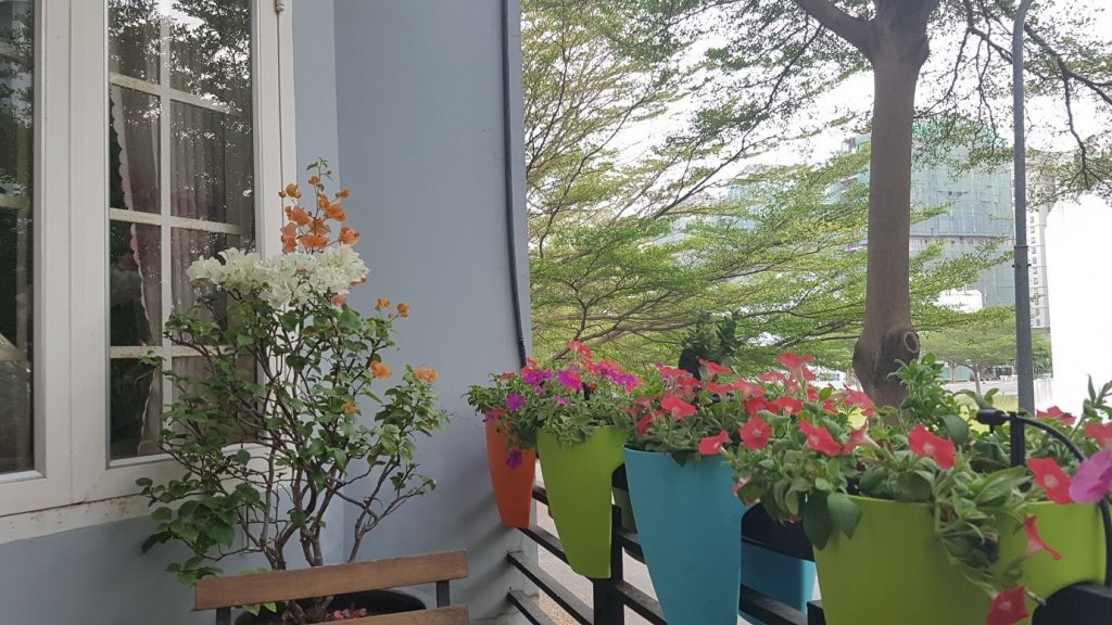 Thiết kế hệ thống tưới tự động cho ban công rực rỡ sắc hoa