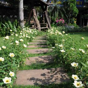 Hệ thống tưới tự động công ty Cảnh Quan Việt – quận 9