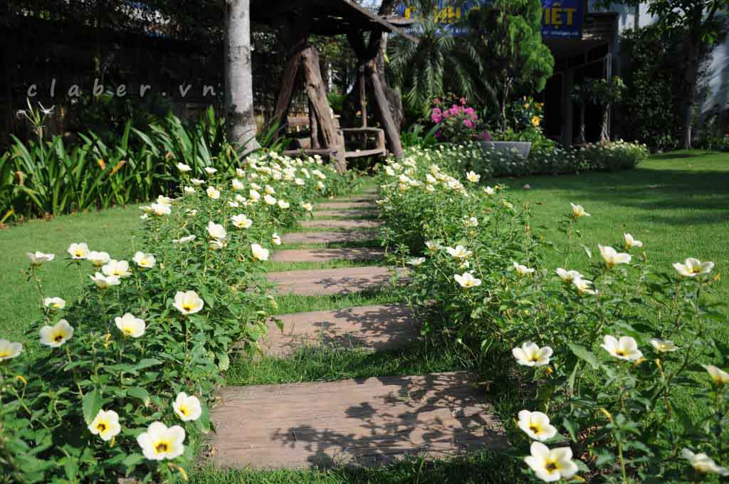 Hệ thống tưới tự động công ty Cảnh Quan Việt – quận 9