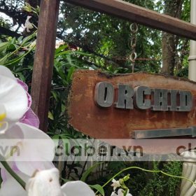 Dự án hệ thống tưới tự động: Khu biệt thự cao cấp An Phú, Quận 2