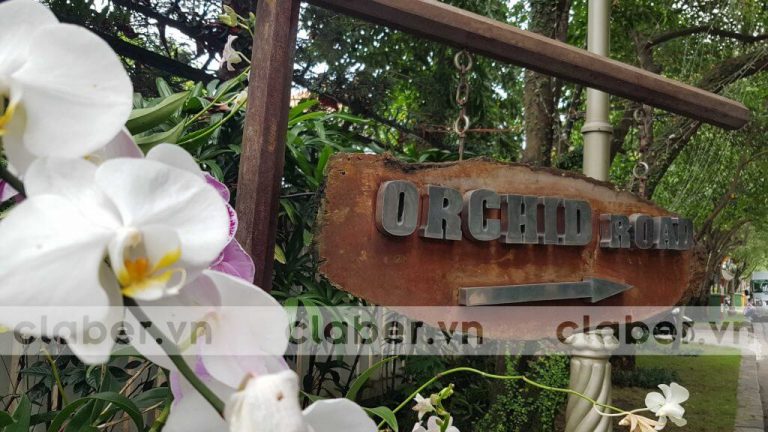 Dự án hệ thống tưới tự động: Khu biệt thự cao cấp An Phú, Quận 2