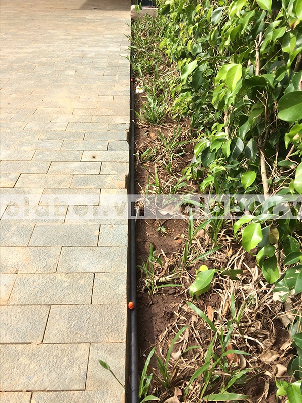 5 mẹo bố trí đầu phun tưới cây tự động cho mảng xanh hẹp