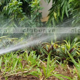 3 loại béc tưới cây phổ biến nhất trong tưới tự động hiện nay