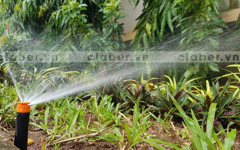 3 loại béc tưới cây phổ biến nhất trong tưới tự động hiện nay