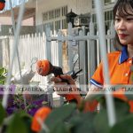 Những lý do để mua vòi tưới cây đa năng chất lượng cao