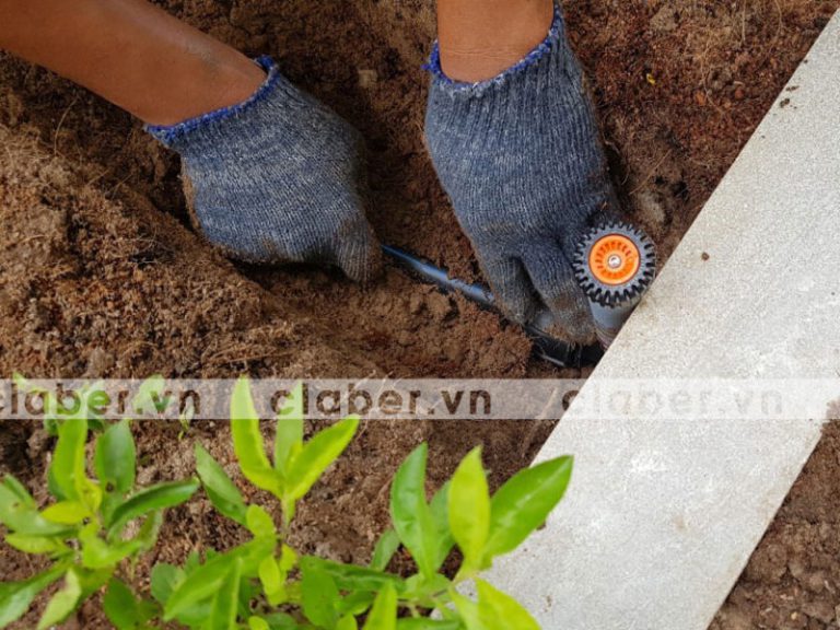 5 điều cần lưu ý để bạn mua được bộ thiết bị tưới cây tốt