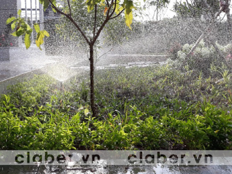 Mách bạn các loại cây cần sử dụng thiết bị tưới phun sương
