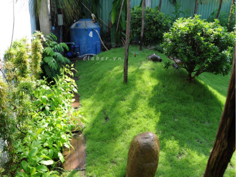 5 bước lắp đặt thiệt bị tưới tiết kiệm nước hoàn chỉnh