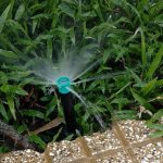Mách bạn dòng thiết bị tưới cỏ tốt nhất và địa chỉ mua hàng chất lượng