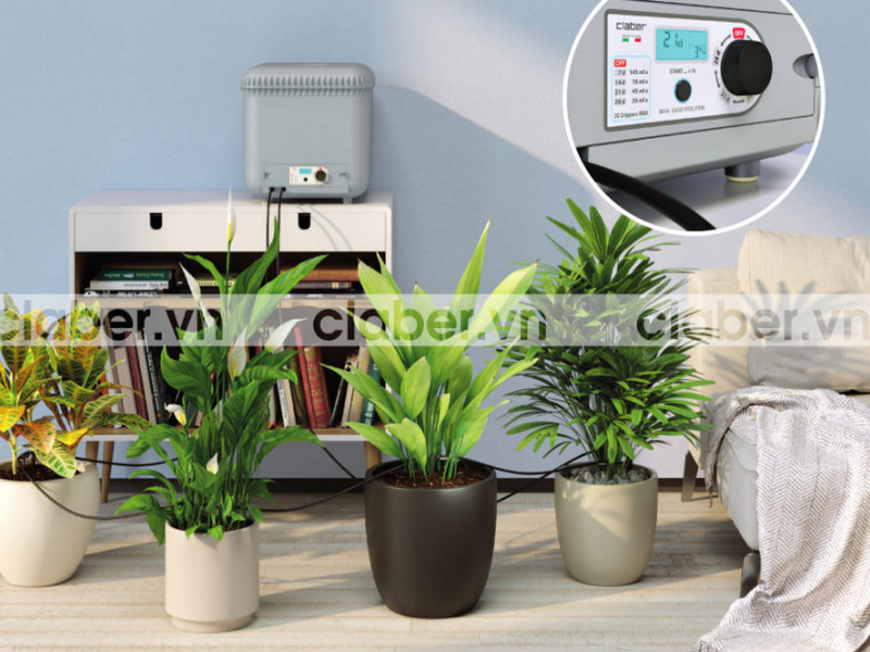 Thiết bị tưới cây cảnh có giá bán bao nhiêu và mua ở đâu chất lượng