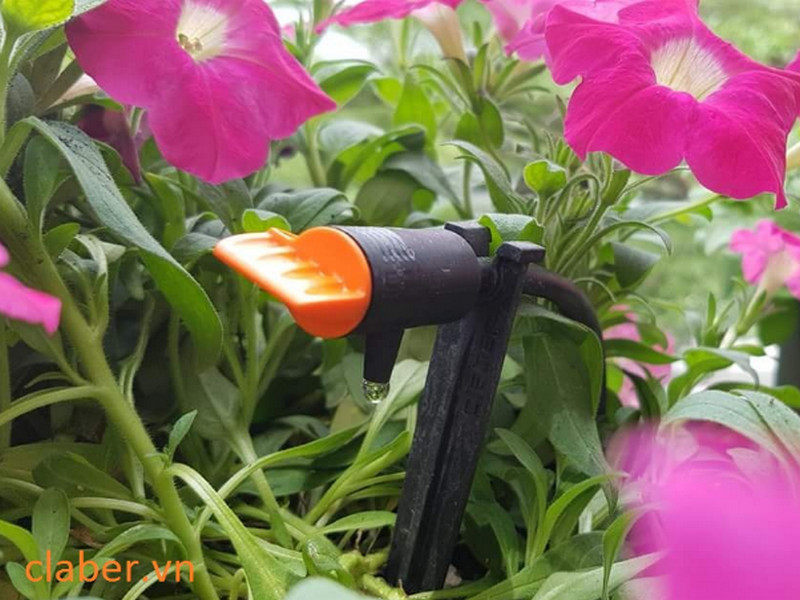 Thiết bị tưới rainbird thích hợp với loại cây trồng nào