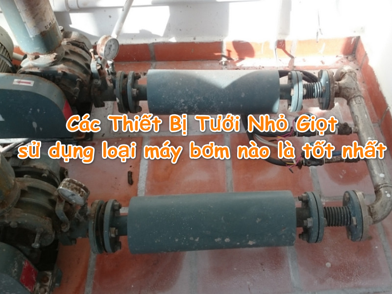 Các Thiết Bị Tưới Nhỏ Giọt sử dụng loại máy bơm nào là tốt nhất