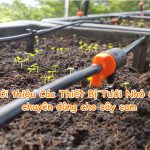 Giới thiệu Các Thiết Bị Tưới Nhỏ Giọt chuyên dùng cho cây cam