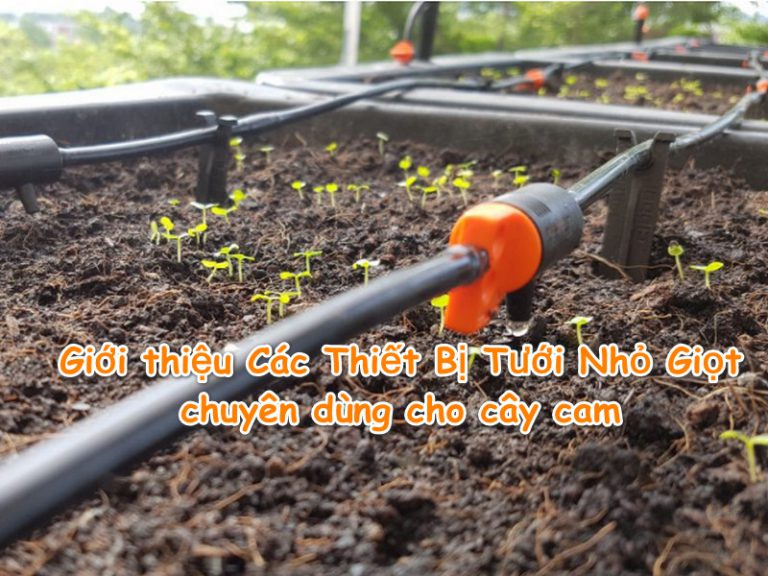 Giới thiệu Các Thiết Bị Tưới Nhỏ Giọt chuyên dùng cho cây cam
