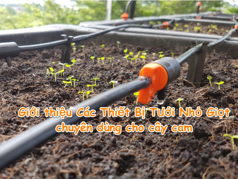 Giới thiệu Các Thiết Bị Tưới Nhỏ Giọt chuyên dùng cho cây cam