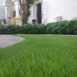Nhà phân phối thiết bị tưới sân vườn uy tín trên toàn quốc 