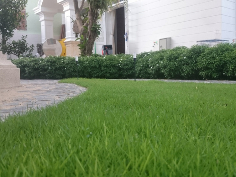 Nhà phân phối thiết bị tưới sân vườn uy tín trên toàn quốc 