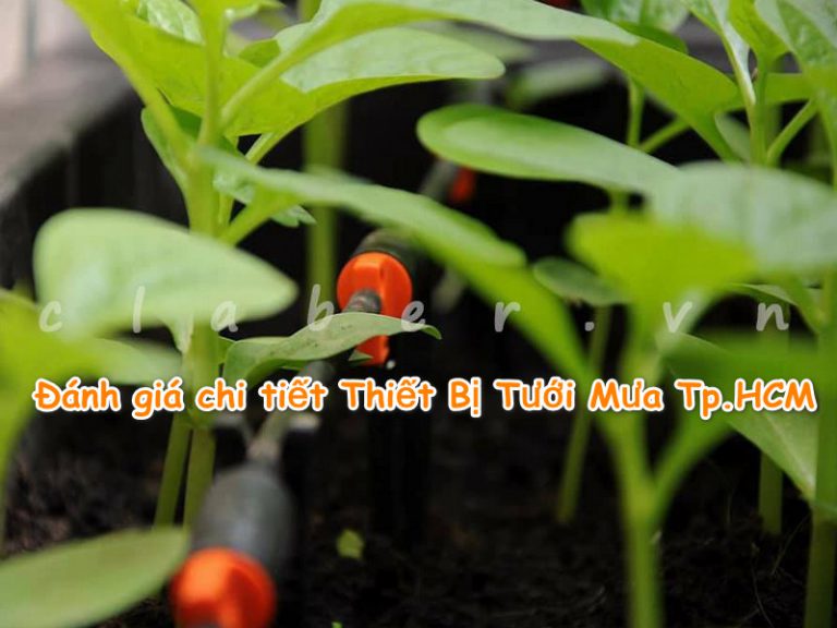 Đánh giá chi tiết Thiết Bị Tưới Mưa Tp.HCM