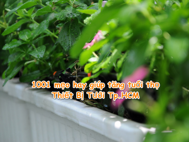 1001 mẹo hay giúp tăng tuổi thọ Thiết Bị Tưới Tp.HCM