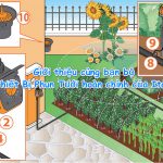 Giới thiệu cùng bạn bộ Thiết Bị Phun Tưới hoàn chỉnh của Italy