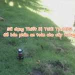 Sử dụng Thiết Bị Tưới Tp.HCM để bón phân an toàn cho cây trồng