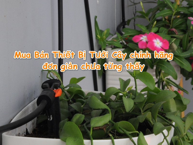 Cách mua Bán Thiết Bị Tưới Cây Chính Hãng đơn giản chưa từng thấy