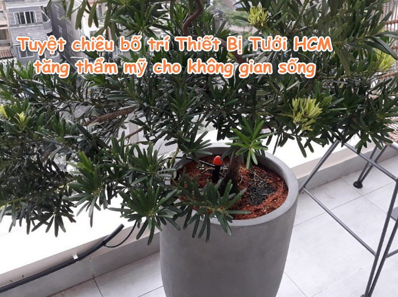Tuyệt chiêu bố trí Thiết Bị Tưới tại HCM tăng thẩm mỹ cho không gian sống