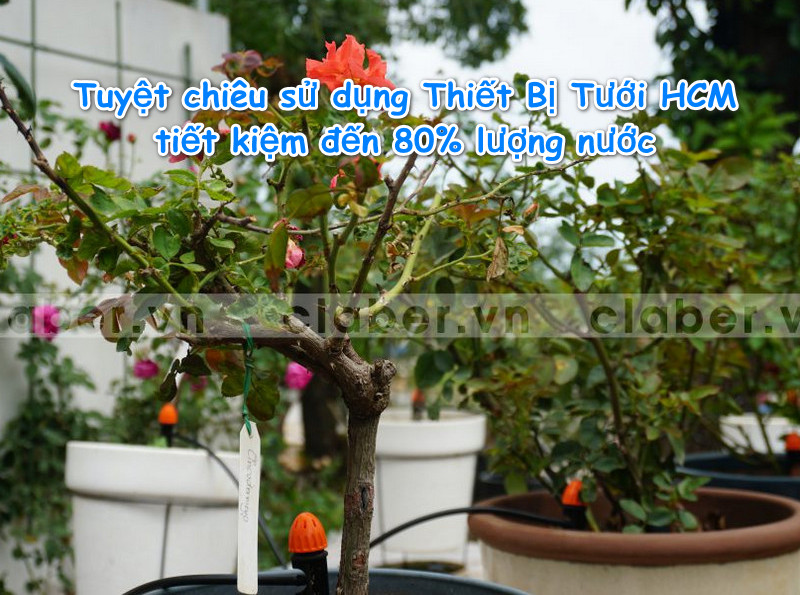 Tuyệt chiêu sử dụng Thiết Bị Tưới ở TP.HCM tiết kiệm đến 80% lượng nước