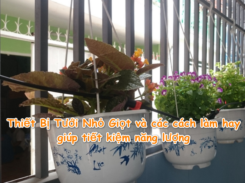 Thiết Bị Tưới Nhỏ Giọt và các cách làm hay giúp tiết kiệm năng lượng