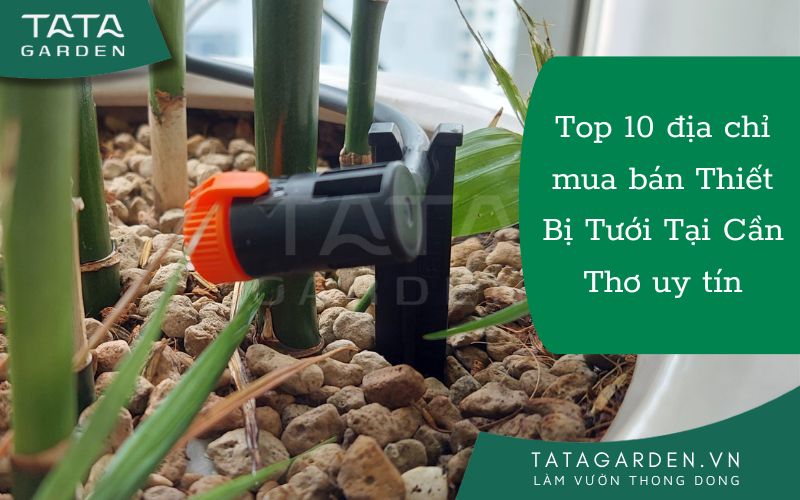 Top 10 địa chỉ mua bán Thiết Bị Tưới Tại Cần Thơ uy tín nhất 2024