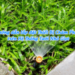 Hướng dẫn lắp đặt thiết bị châm phân trên hệ thống tưới nhỏ giọt