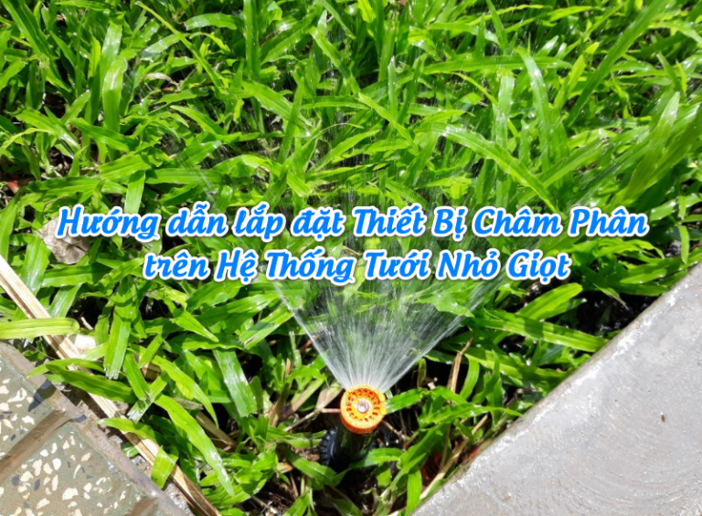 Hướng dẫn lắp đặt thiết bị châm phân trên hệ thống tưới nhỏ giọt