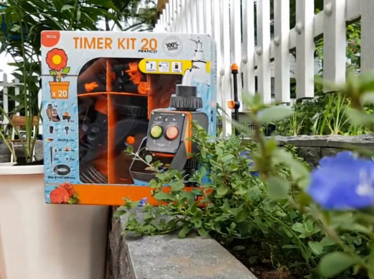 Có nên tưới cây bằng nước vo gạo để qua đêm hay không