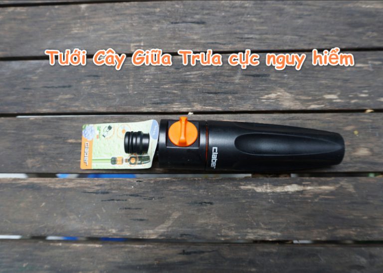 Tưới Cây Giữa Trưa nắng cực nguy hiểm, BẠN NÊN TỪ BỎ NGAY