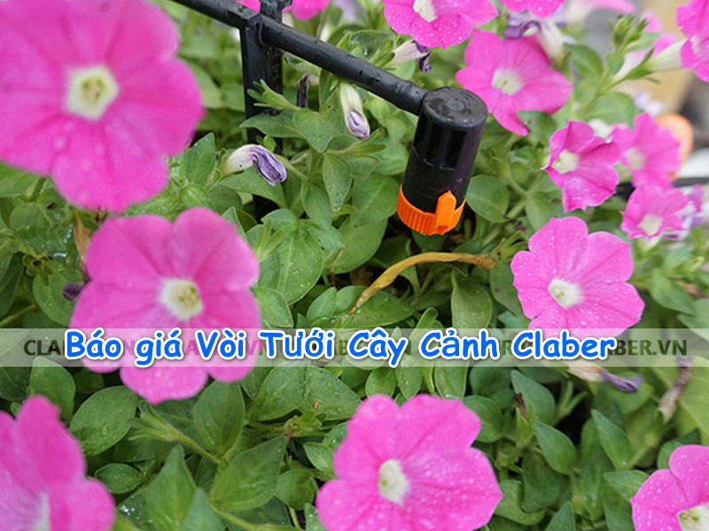 Báo giá Vòi Tưới Cây Cảnh chính hãng Claber