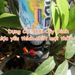 Tổng hợp các mẫu Dụng Cụ Tưới Cây Cảnh được yêu thích nhất mọi thời đại