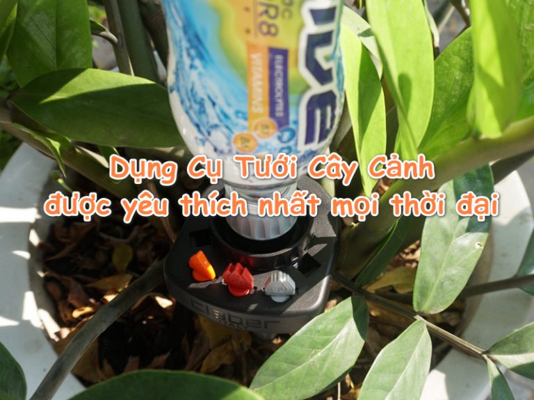 Tổng hợp các mẫu Dụng Cụ Tưới Cây Cảnh được yêu thích nhất mọi thời đại