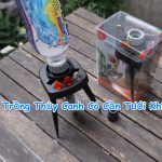Cây trồng thủy canh có cần tưới nước không, hướng dẫn trồng cây thủy canh tại nhà
