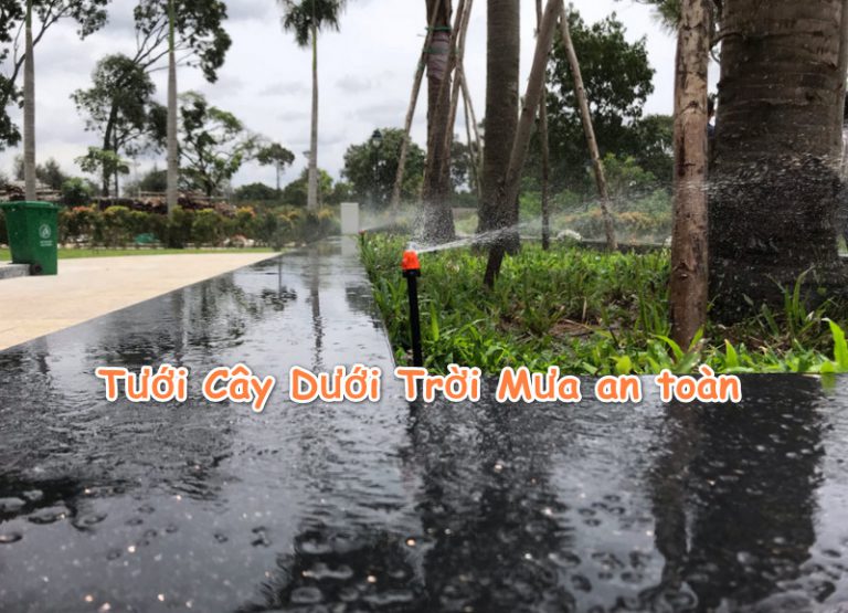 Mách bạn cách Tưới Cây Dưới Trời Mưa hạn chế ngập úng