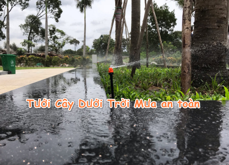Mách bạn cách Tưới Cây Dưới Trời Mưa hạn chế ngập úng