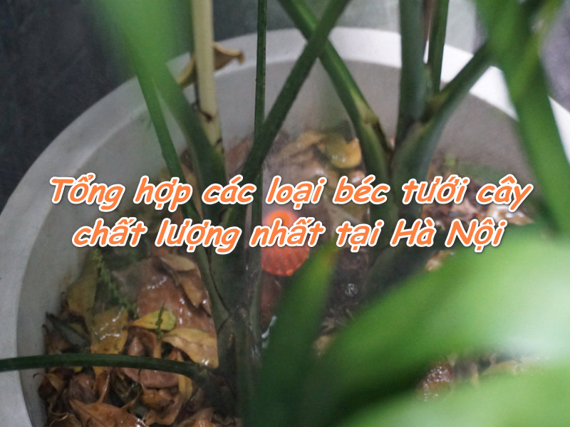 Tổng hợp các loại béc tưới cây chất lượng nhất tại Hà Nội