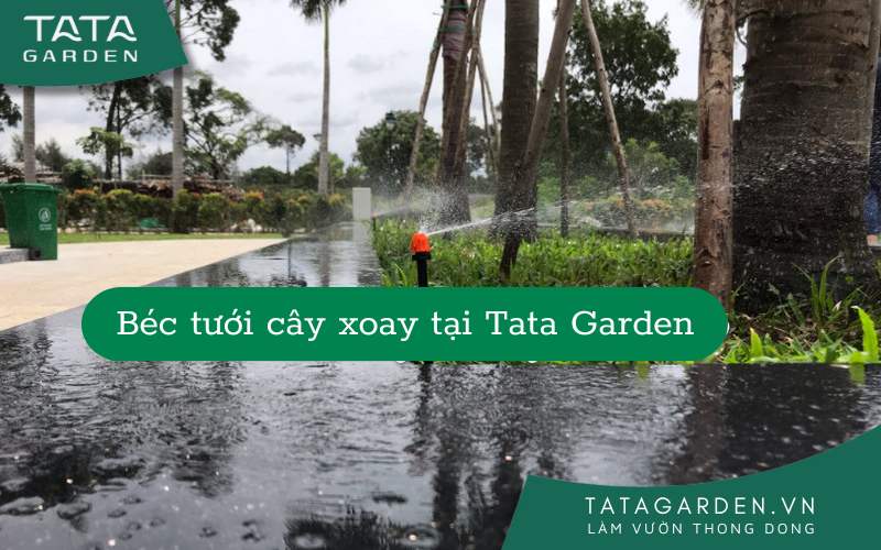Béc Tưới Cây Xoay Claber hoạt động theo nguyên lý nào