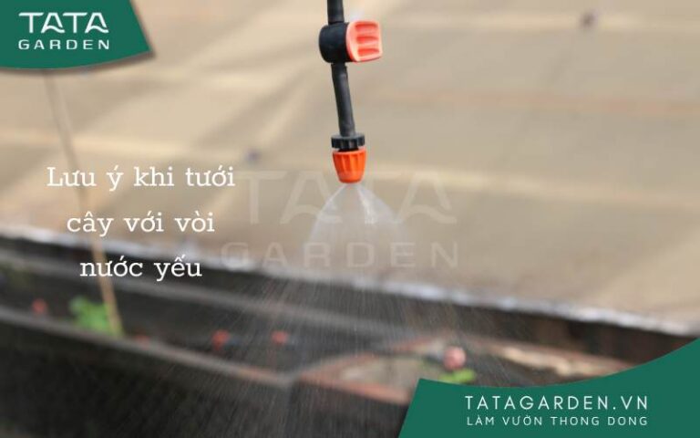 7 lưu ý khi tưới cây với áp lực nước yếu