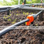 Cách Tưới Cây Tiết Kiệm Nước và thời gian đến từ chuyên gia