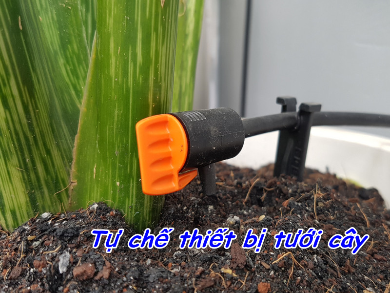 6 bước Tự Chế Thiết Bị Tưới Cây từ những thứ bỏ đi