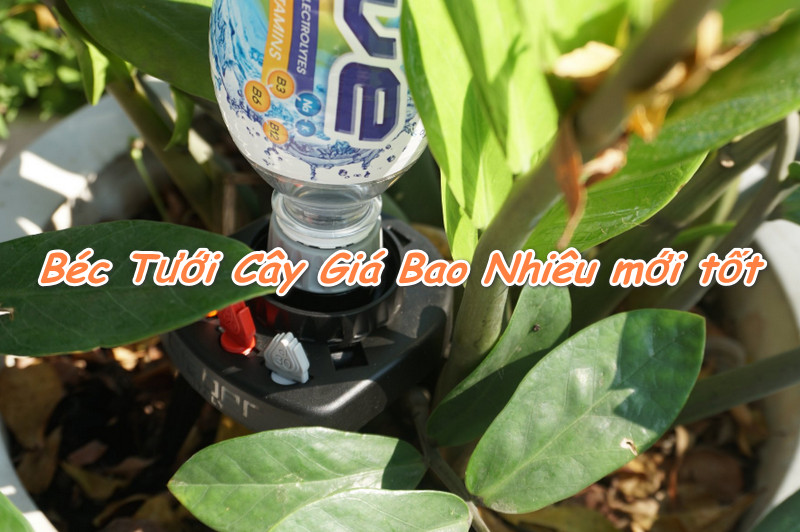 Béc Tưới Cây Giá Bao Nhiêu mới là tốt nhất 2019