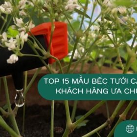 Top 15 mẫu Béc Tưới Cây được khách hàng ưa chuộng